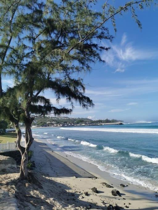 דירות סן-ז'יל-לה-באן Beau T3 Litchi Vue Ocean Piscine מראה חיצוני תמונה